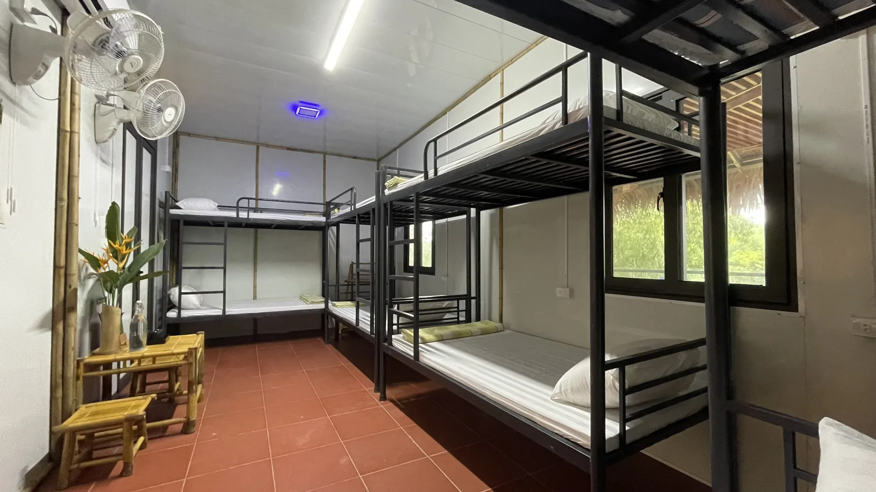 Standard Dorm